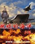 燃烧的海火提取码